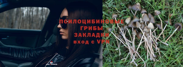 кокс Богородицк